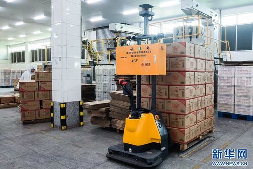 聚焦高質量發展 福建晉江 5g 工業互聯網 助食品產業 智慧 升級