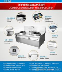 價格優惠 商用電磁雙頭小炒爐 銷售浙江一帶 大功率高效率