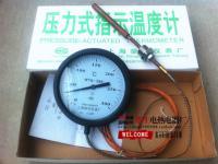 興化市華生電熱電器廠